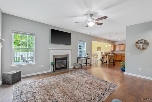 117 Shaker Hts, Camillus, NY 13031 - living room with healthy amount of natural light, a premium fireplace, a ceiling fan, and dark wood-style floors