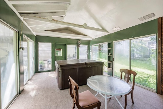 500 Pine Grove Ave, Irondequoit, NY 14617 - sunroom / solarium with a jacuzzi, lofted ceiling, carpet, and plenty of natural light