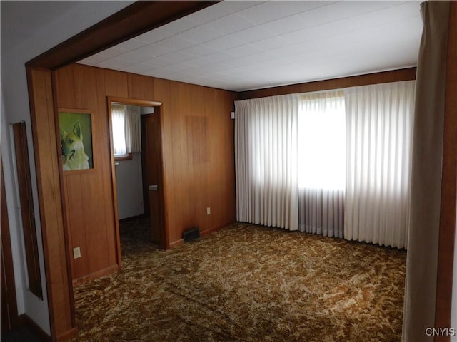 205 Shotwell Park Unit 100, Syracuse, NY 13206 - carpeted empty room with healthy amount of natural light and wooden walls