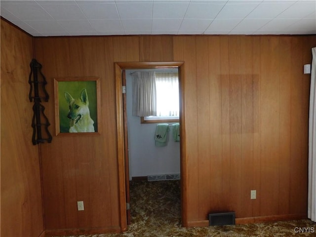 205 Shotwell Park Unit 100, Syracuse, NY 13206 - hall with wooden walls