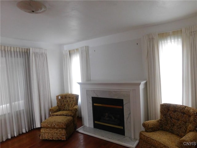 205 Shotwell Park Unit 100, Syracuse, NY 13206 - sitting room with a high end fireplace and wood finished floors