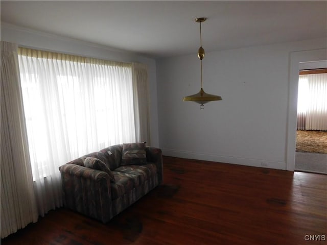 205 Shotwell Park Unit 100, Syracuse, NY 13206 - living area featuring wood finished floors and baseboards