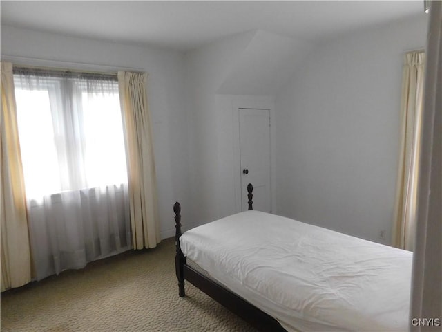 205 Shotwell Park Unit 100, Syracuse, NY 13206 - bedroom with carpet