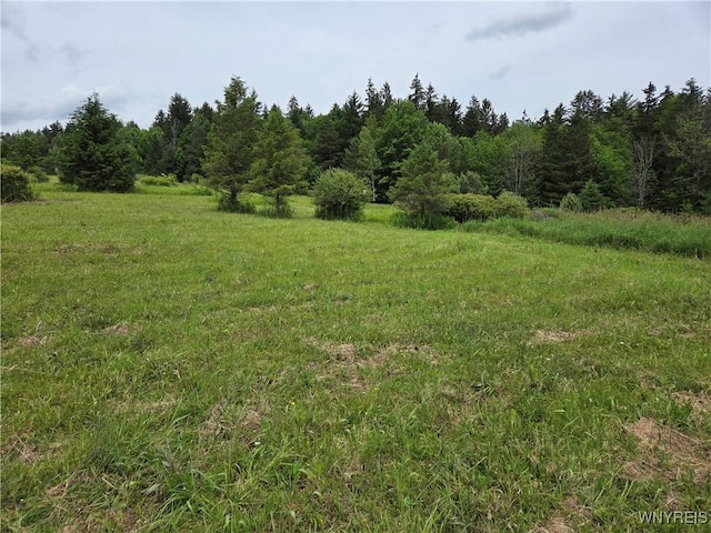548 Hardys Corners Rd, Farmersville, NY 14060 - photo 4