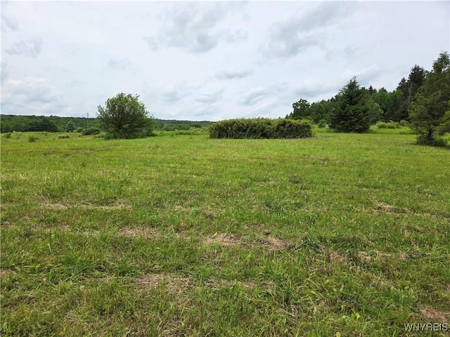 548 Hardys Corners Rd, Farmersville, NY 14060 - photo 5