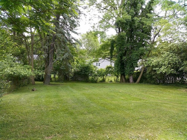 120 Valley St, Rochester, NY 14612 - view of yard