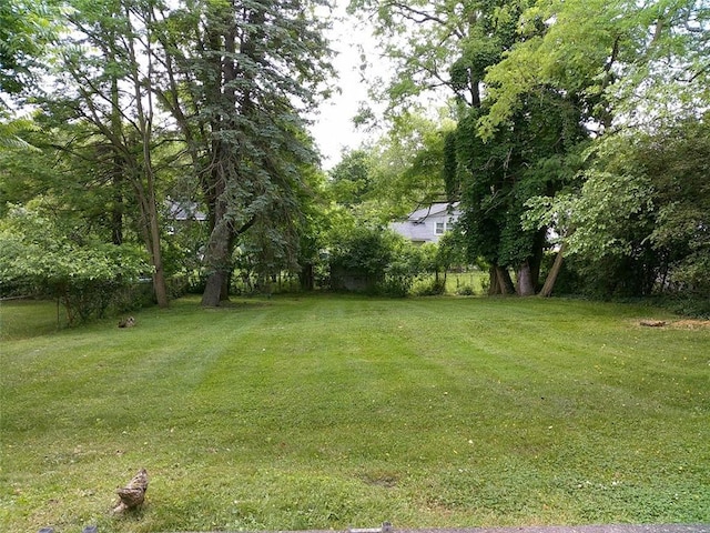 120 Valley St, Rochester, NY 14612 - view of green lawn