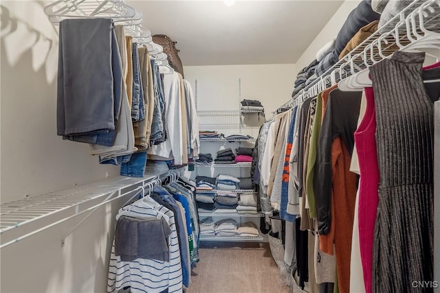 5269 Medasano Cir, Clay, NY 13041 - view of walk in closet