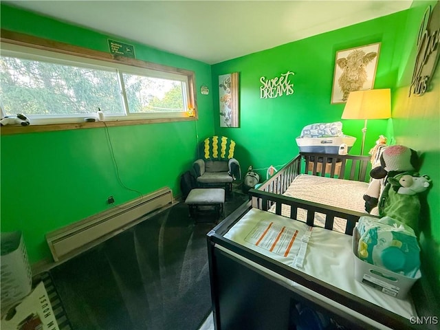 218 Locke Rd, Groton, NY 13073 - photo 11