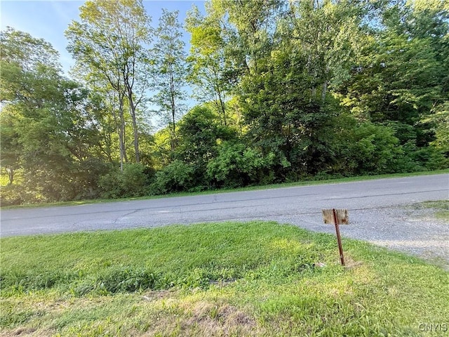 218 Locke Rd, Groton, NY 13073 - photo 19
