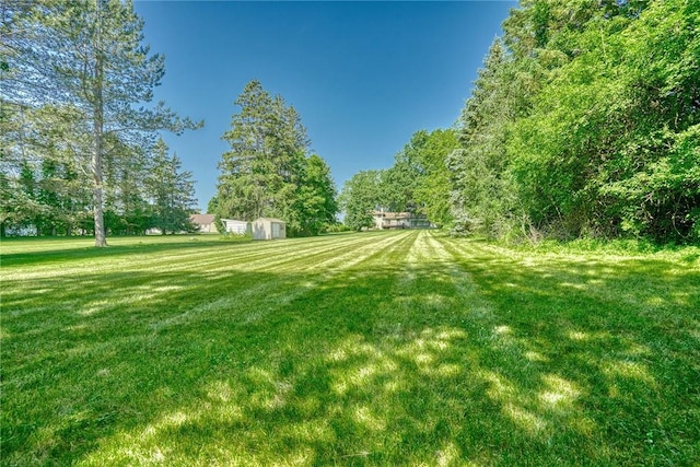 238 Fisher Rd, Chili, NY 14624 - view of green lawn featuring a shed