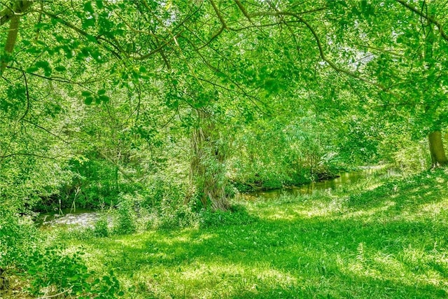 238 Fisher Rd, Chili, NY 14624 - view of nature