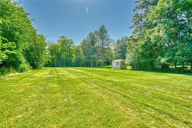 238 Fisher Rd, Chili, NY 14624 - view of grassy yard with a shed and a forest view