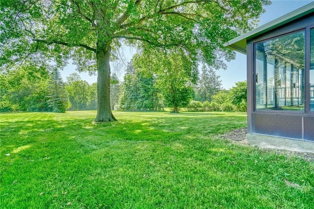 238 Fisher Rd, Chili, NY 14624 - view of green lawn