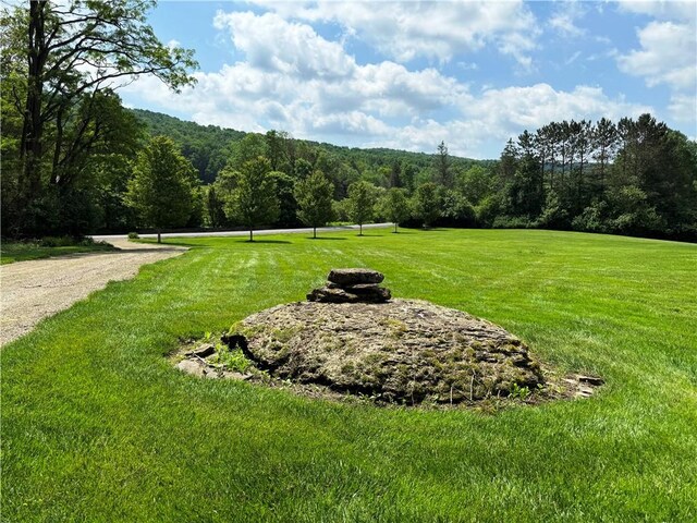 287 Pink St, Middlefield, NY 13326 - photo 7