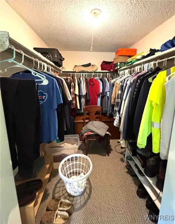 3 Homer Ln Unit B, Amherst, NY 14221 - walk in closet featuring carpet flooring