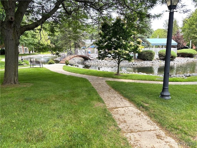 3 Homer Ln Unit B, Amherst, NY 14221 - surrounding community with a lawn and a water view
