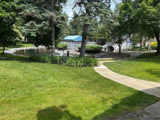 3 Homer Ln Unit B, Amherst, NY 14221 - view of green lawn