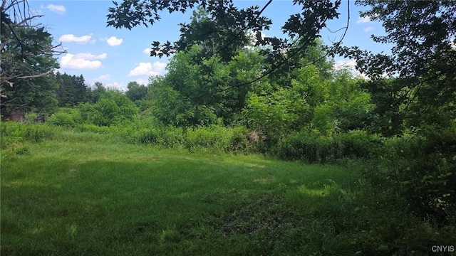 9280 Bartel Rd, Cicero, NY 13029 - photo 43