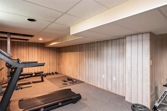 73 Hazel Bark Run, Gates, NY 14606 - workout area featuring carpet flooring, a paneled ceiling, and wooden walls