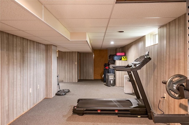 73 Hazel Bark Run, Gates, NY 14606 - workout room with carpet flooring, a paneled ceiling, and wooden walls