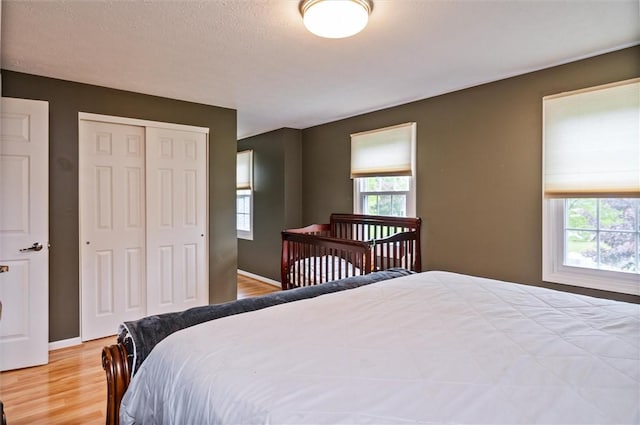 73 Hazel Bark Run, Gates, NY 14606 - bedroom with multiple windows, a closet, and light wood-type flooring
