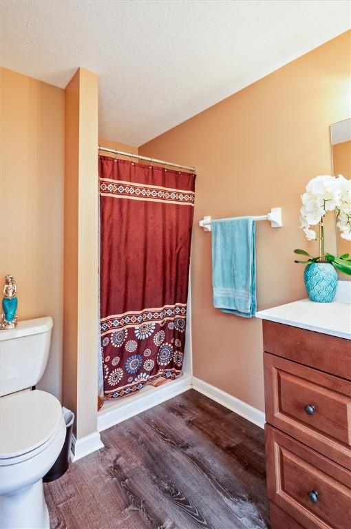 73 Hazel Bark Run, Gates, NY 14606 - bathroom with vanity, wood finished floors, and a shower with shower curtain