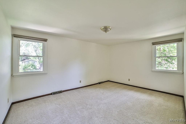 79 Pin Oak Cir, Grand Island, NY 14072 - carpeted empty room with healthy amount of natural light