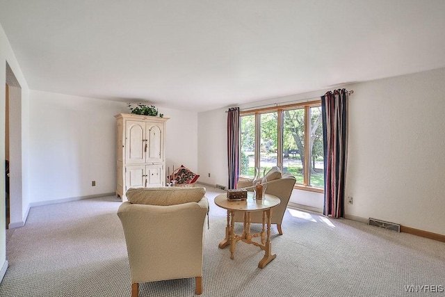 79 Pin Oak Cir, Grand Island, NY 14072 - living room featuring light carpet