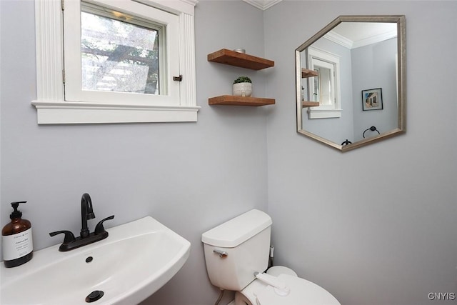 105 Maple Dr, Dewitt, NY 13066 - half bath with a sink and ornamental molding