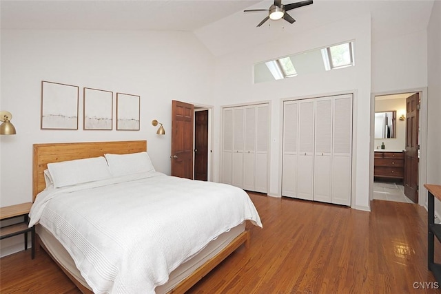 105 Maple Dr, Dewitt, NY 13066 - bedroom with high vaulted ceiling, a skylight, multiple closets, wood finished floors, and ensuite bathroom