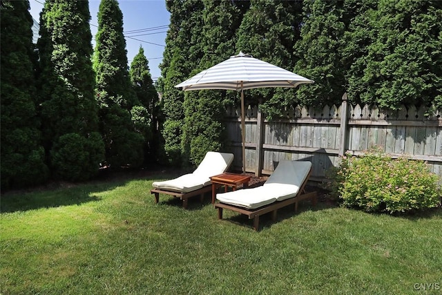 105 Maple Dr, Dewitt, NY 13066 - view of yard