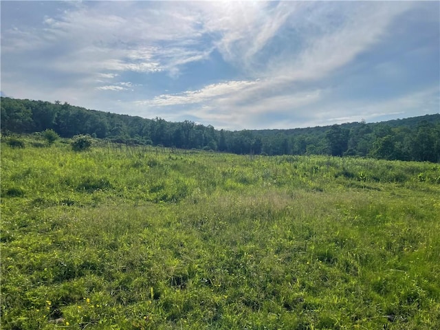 510 Pine Valley Rd, Catlin, NY 14872 - photo 5