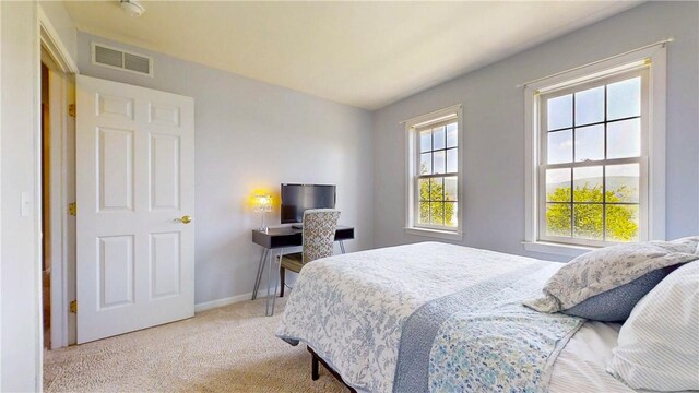 3409 Fieldstone Ln, Erwin, NY 14870 - bedroom with carpet and baseboards