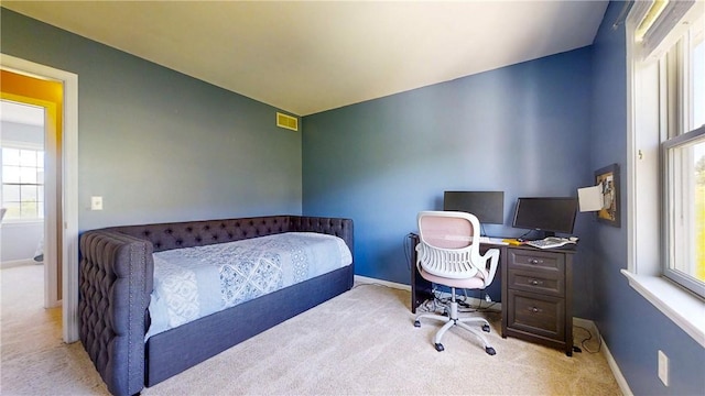 3409 Fieldstone Ln, Erwin, NY 14870 - bedroom with carpet and a desk