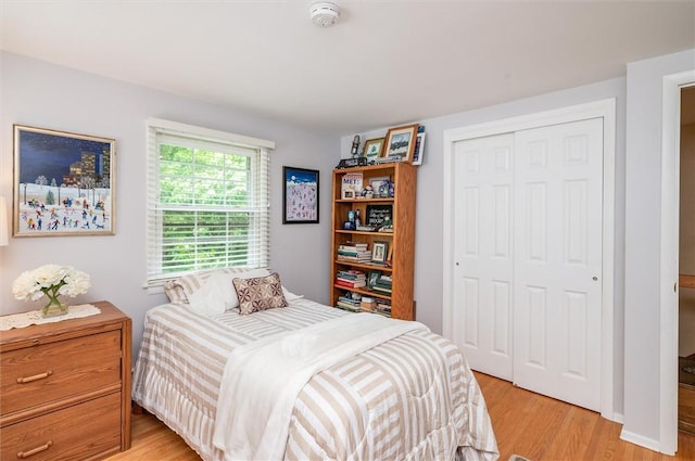 11 Keystone Ct, Sweden, NY 14420 - bedroom with light wood-style floors and a closet