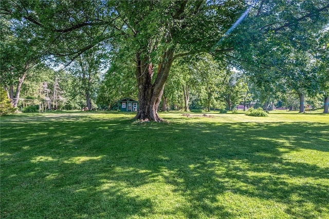 1463 Lehigh Station Rd, Henrietta, NY 14467 - view of green lawn