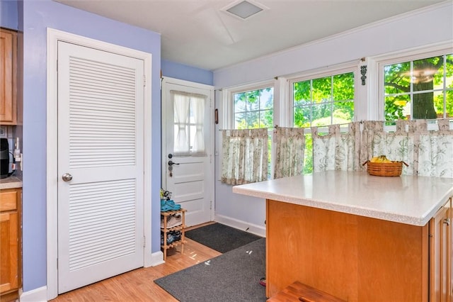1463 Lehigh Station Rd, Henrietta, NY 14467 - entryway featuring light wood finished floors and baseboards