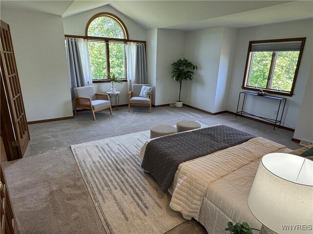 1492 N Creek Rd, Hamburg, NY 14085 - photo 30