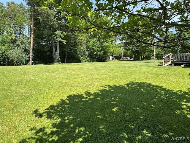 1492 N Creek Rd, Hamburg, NY 14085 - photo 46