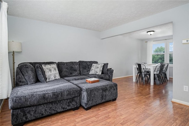 3487 Scenic Way, Walworth, NY 14502 - living room featuring a textured ceiling and light wood-type flooring
