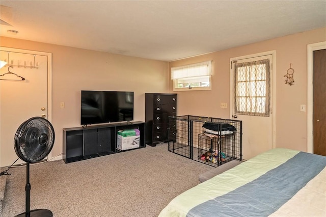 363 Kartes Dr, Greece, NY 14616 - bedroom with carpet flooring