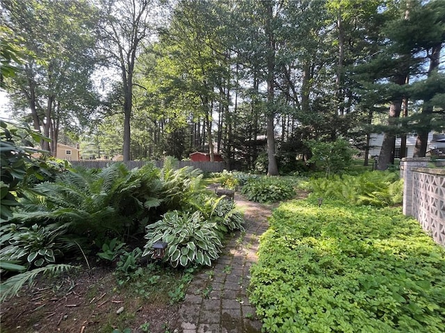 5 White Birch Cir, Chili, NY 14624 - view of yard