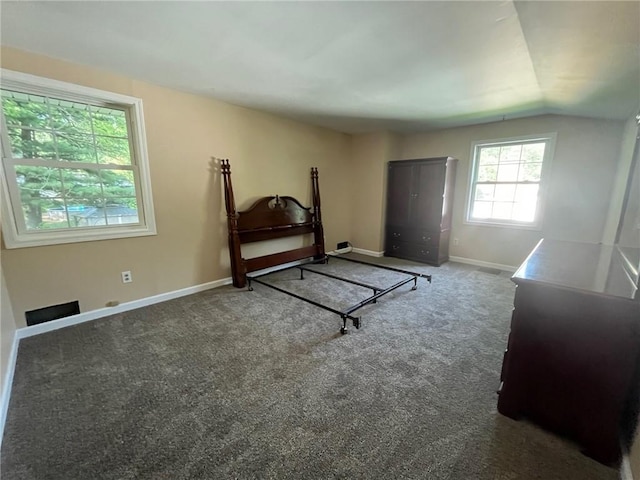 5 White Birch Cir, Chili, NY 14624 - carpeted bedroom with baseboards and vaulted ceiling