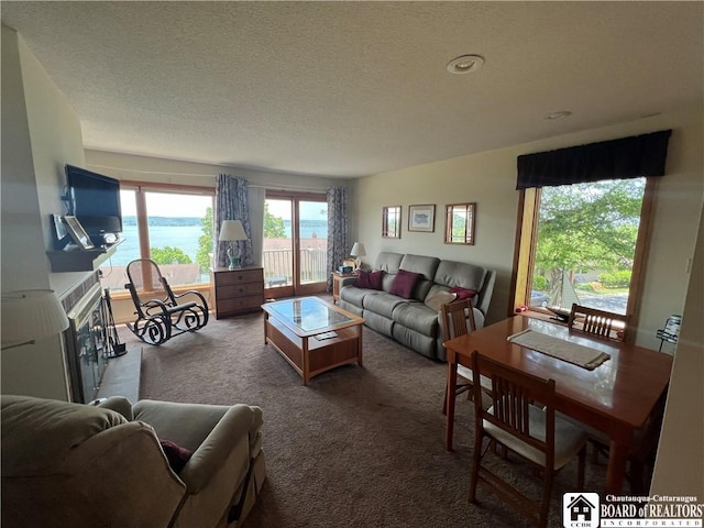 34 Oneida Dr, Chautauqua, NY 14728 - carpeted living area with a textured ceiling