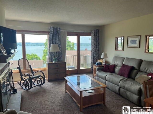 34 Oneida Dr, Chautauqua, NY 14728 - carpeted living room featuring healthy amount of natural light, a textured ceiling, and a water view