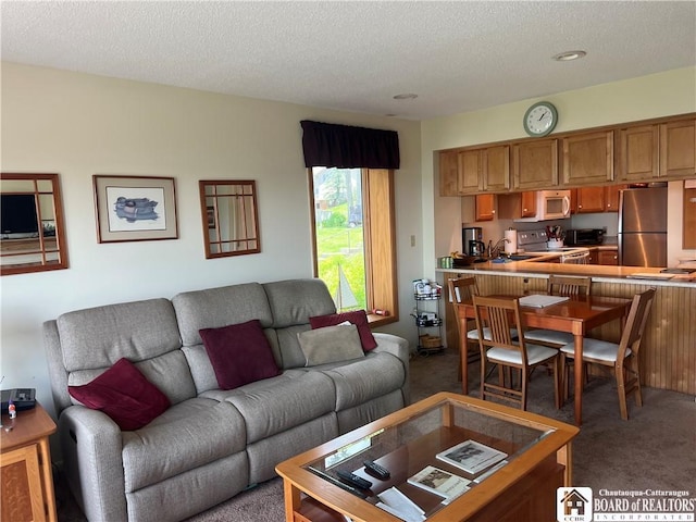 34 Oneida Dr, Chautauqua, NY 14728 - living room featuring carpet and a textured ceiling