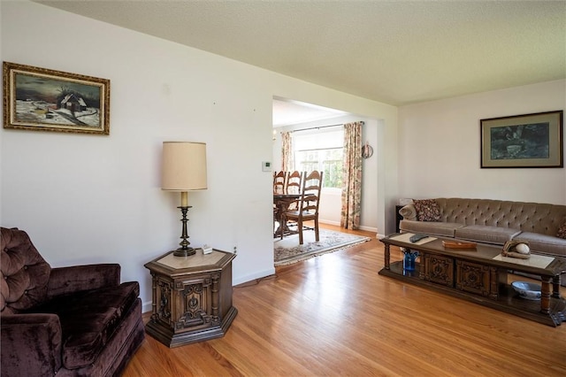 158 Pine Valley Dr, Greece, NY 14626 - living area with light wood finished floors and baseboards