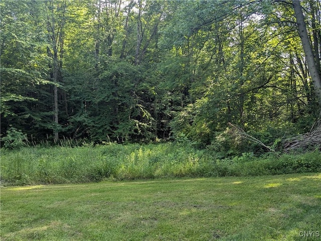 181 Pendergast Rd, Granby, NY 13135 - view of green lawn featuring a wooded view