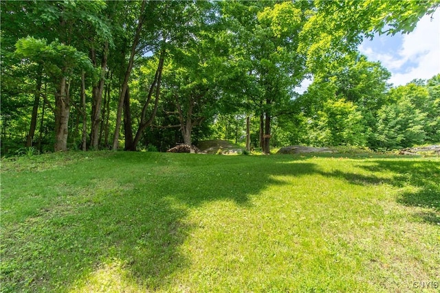 14309 Maple St, Diana, NY 13648 - view of grassy yard